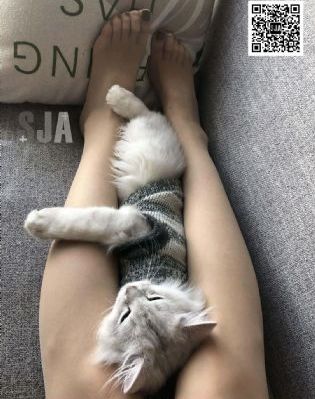 伊人网站在线_BD英语在线观看视频