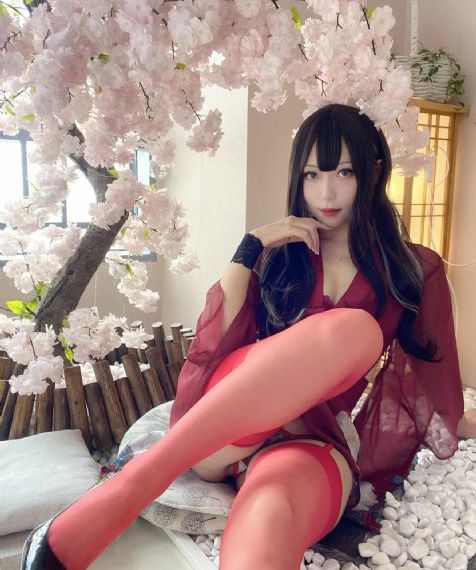 双世宠妃第一季免费观看完整版_剧情片高清视频播放